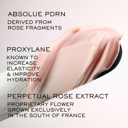Lancôme Absolue The Soft Cream – Anti-Aging Moisturizer for Firmness, Hydration, All Skin Types: Targets Dullness, Dryness, Uneven Texture, Refill 2.0 oz.